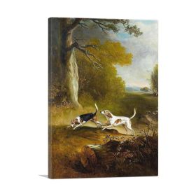 Two Dogs Hunting (Type: Standard Framed Canvas Print, size: 24" x 16" / 60cm x 40cm (approx))